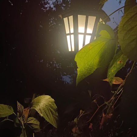 Aam'S Courtyard Hotel Kalimpong Kültér fotó