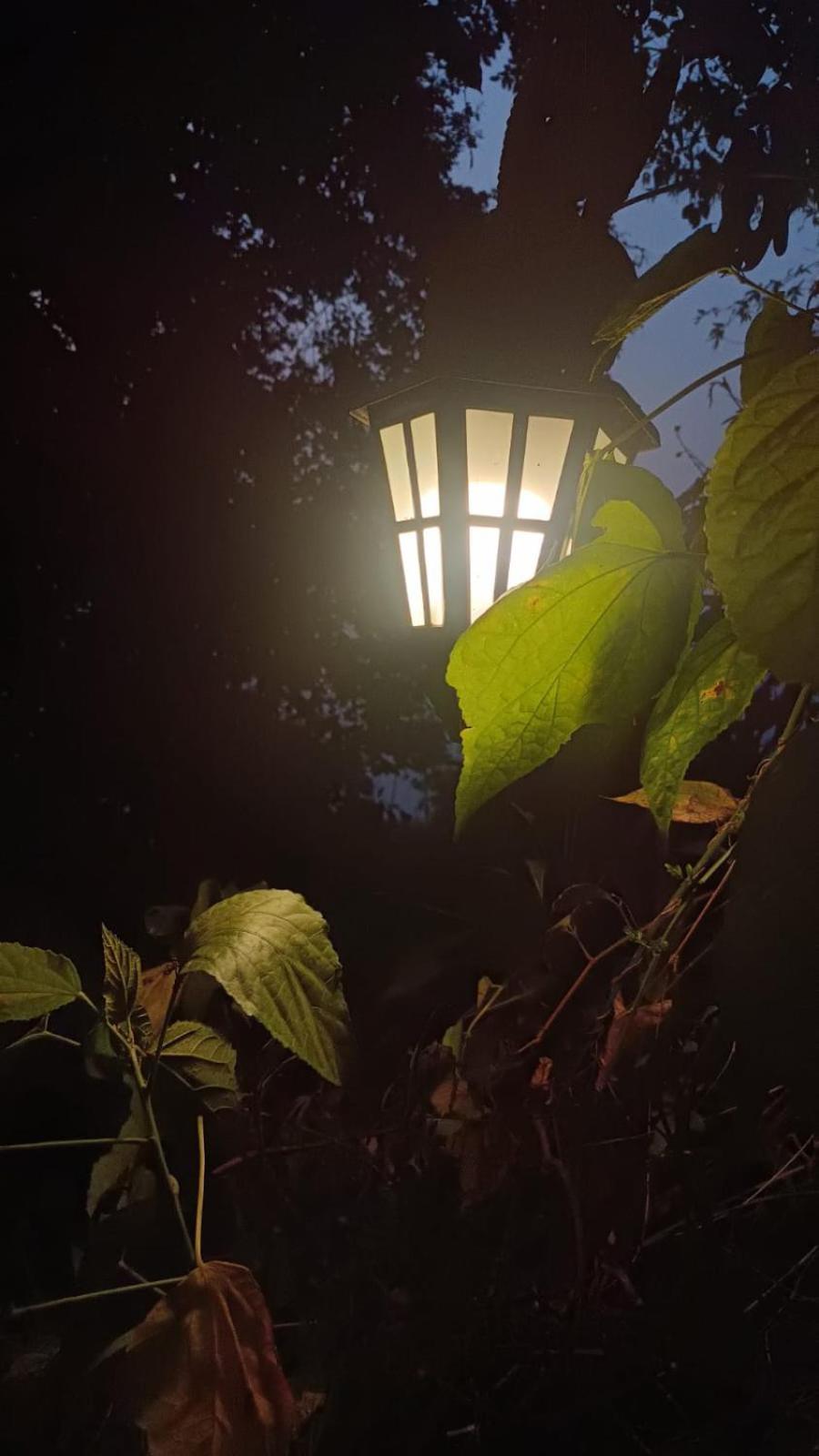 Aam'S Courtyard Hotel Kalimpong Kültér fotó