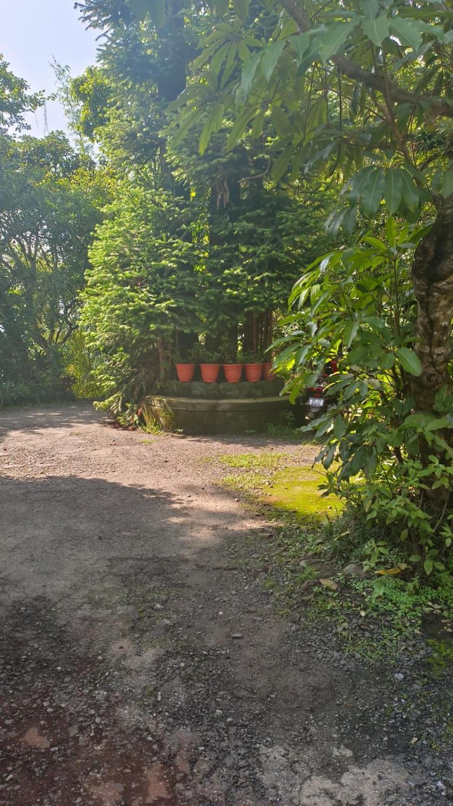 Aam'S Courtyard Hotel Kalimpong Kültér fotó