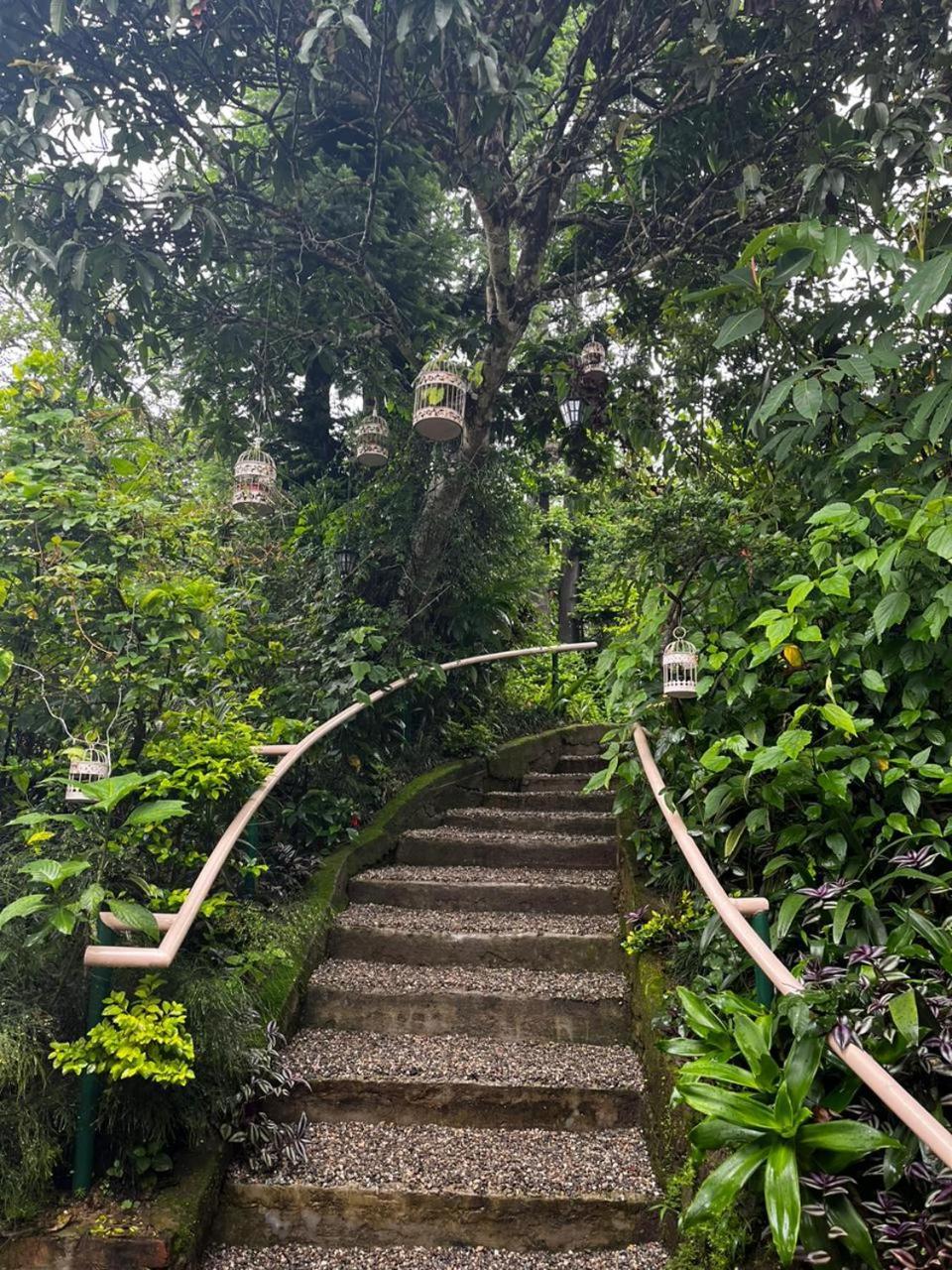 Aam'S Courtyard Hotel Kalimpong Kültér fotó